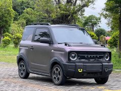 Geely Panda 2025 210km Panda Knight - ფოტო 3