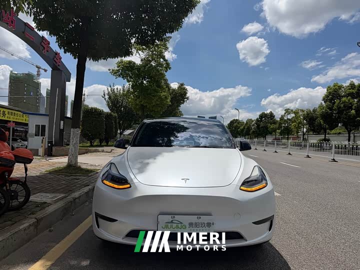 Tesla Model Y Standard Range RWD - ავტომობილი ჩინეთიდან