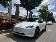 Tesla Model Y Standard Range RWD - ფოტო 2