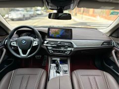 BMW 5 Series Facelift 530Li Premier Luxury Package - ფოტო 15