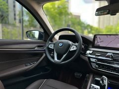 BMW 5 Series Facelift 530Li Premier Luxury Package - ფოტო 18