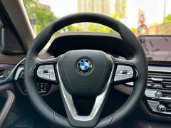 BMW 5 Series Facelift 530Li Premier Luxury Package - ფოტო 19
