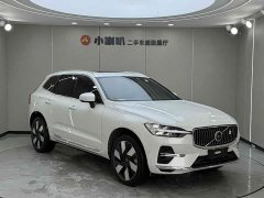 Volvo XC60 Plug-in Hybrid T8 PHEV Long Range AWD Smart Remote Luxury Edition - ფოტო 2