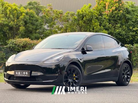 2021 Tesla Model Y Standard Range RWD - ავტომობილი ჩინეთიდან