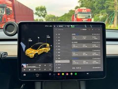 Tesla Model Y Standard Range RWD - ფოტო 14