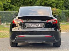 Tesla Model Y Standard Range RWD - ფოტო 5
