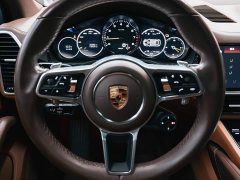 Porsche Cayenne New Energy Cayenne E-Hybrid 2.0T Platinum Edition - ფოტო 13