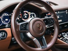Porsche Cayenne New Energy Cayenne E-Hybrid 2.0T Platinum Edition - ფოტო 15