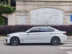 BMW 5 Series 530Li Premier M Sport Package - ფოტო 4