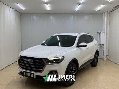 2022 Haval H6 2021 National Trend Edition 1.5T Automatic Urban Version - ავტომობილი ჩინეთიდან