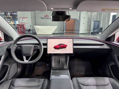 Tesla Model 3 Long Range All-Wheel Drive - ფოტო 9