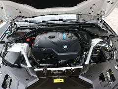 BMW 5 Series New Energy 535Le Luxury Package - ფოტო 15