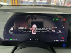 FAW Yueyi 03 2025 445km Heart Delight Edition - ფოტო 9