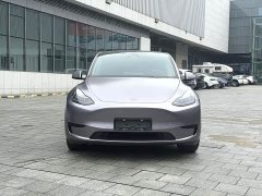 Tesla Model Y 2022 Rear-Wheel Drive - ფოტო 2