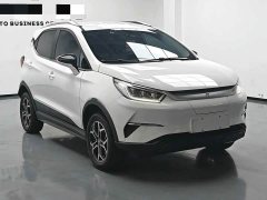 BYD Yuan Pro Love for Life Edition - ფოტო 6