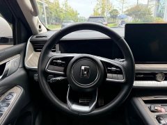 Tank 500 3.0T Sport Landscape 7-Seater - ფოტო 10