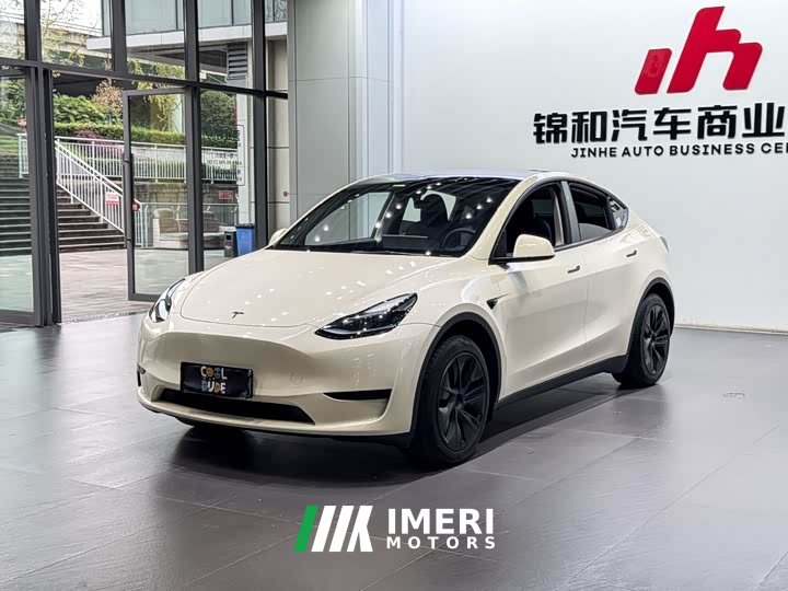 Tesla Model Y Rear-Wheel Drive - ავტომობილი ჩინეთიდან