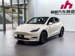 Tesla Model Y Rear-Wheel Drive - ფოტო 1