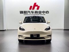 Tesla Model Y Rear-Wheel Drive - ფოტო 2