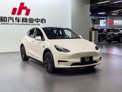 Tesla Model Y Rear-Wheel Drive - ფოტო 3