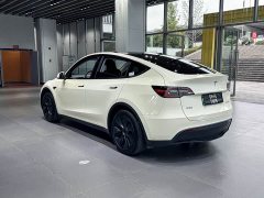 Tesla Model Y Rear-Wheel Drive - ფოტო 5