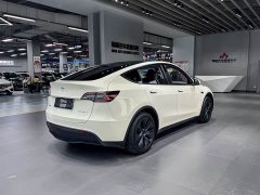 Tesla Model Y Rear-Wheel Drive - ფოტო 6