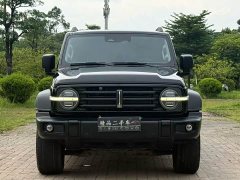 Tank 300 Off-Road Edition 2.0T Challenger - ფოტო 2