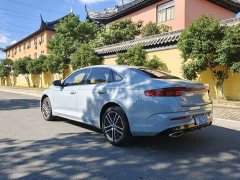 Geely Xingrui 2.0T Diesel Premium - ფოტო 16