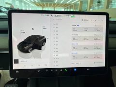 Tesla Model Y Rear-Wheel Drive - ფოტო 19