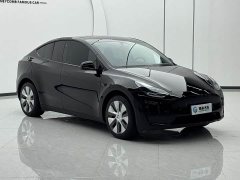 Tesla Model Y Rear-Wheel Drive - ფოტო 5