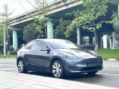 Tesla Model Y 2022 Rear-Wheel Drive - ფოტო 2