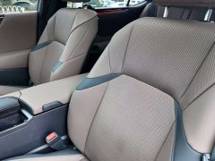 Lexus ES 2021 300h Excellence - ფოტო 6