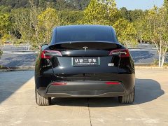 Tesla Model Y Long Range All-Wheel Drive - ფოტო 11