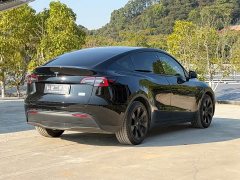Tesla Model Y Long Range All-Wheel Drive - ფოტო 12