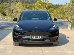 Tesla Model Y Long Range All-Wheel Drive - ფოტო 2