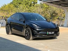 Tesla Model Y Long Range All-Wheel Drive - ფოტო 3