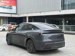 Tesla Model Y Rear-Wheel Drive - photo 7