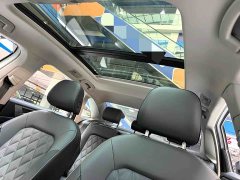 Volkswagen Sagitar 280TSI DSG Excellence Edition - ფოტო 8