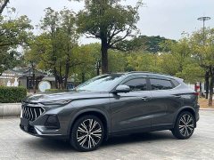 Changan Oushan X5 1.5T DCT Premier - ფოტო 1