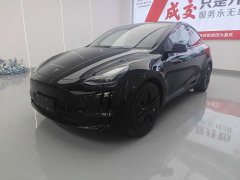 Tesla Model Y Standard Range RWD - ფოტო 1