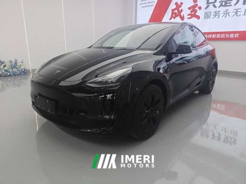 2021 Tesla Model Y Standard Range RWD - ავტომობილი ჩინეთიდან