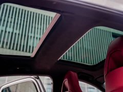 Porsche Panamera 2.9T - ფოტო 14