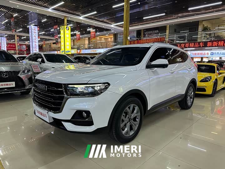 Haval H6 National Trend 1.5T Automatic Champion Edition - ავტომობილი ჩინეთიდან