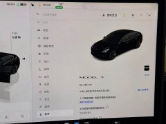 Tesla Model 3 Rear-Wheel Drive - ფოტო 13