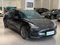 Tesla Model 3 Rear-Wheel Drive - ფოტო 3