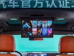 Li Auto L9 Max - ფოტო 16