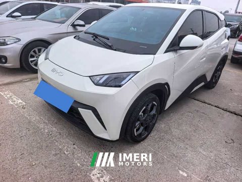 2024 BYD Seagull Glory Edition 405km Flying Edition - ავტომობილი ჩინეთიდან