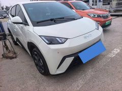 BYD Seagull Glory Edition 405km Flying Edition - ფოტო 3