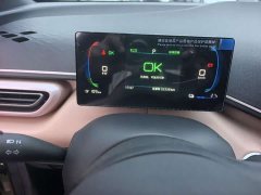 BYD Seagull Glory Edition 405km Flying Edition - ფოტო 5