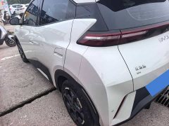 BYD Seagull Glory Edition 405km Flying Edition - ფოტო 7